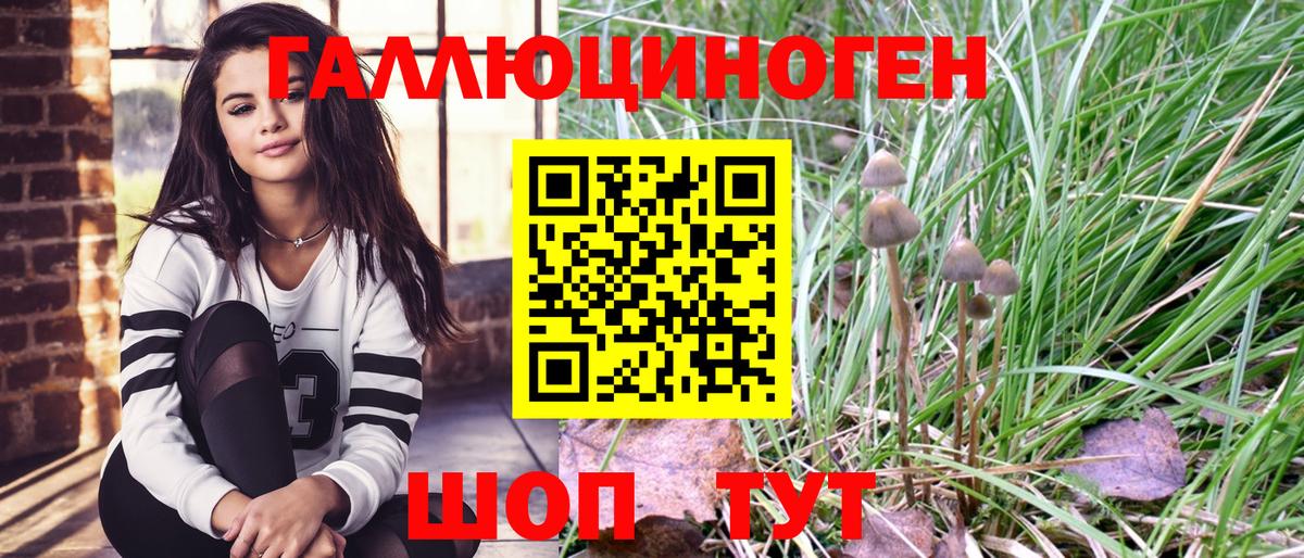 Кандалакша  Галлюциногенные грибы Psilocybe  Вход с VPN 