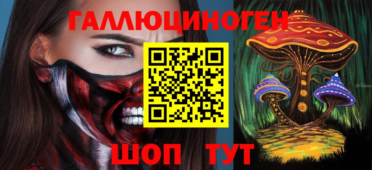A PVP Кандалакша
