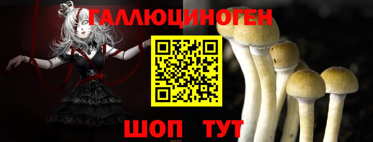 Псилоцибиновые грибы GOLDEN TEACHER Кандалакша